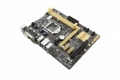 Mainboard ASUS H81M-K