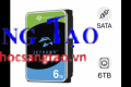Ổ cứng Seagate Skyhawk 6TB ST6000VX009