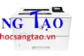 Máy in HP LaserJet Pro M501dn (J8H61A)