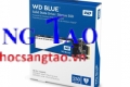 SSD WDS250G3B0C-M2 NVMe  Blue SN570