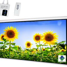 Màn chiếu Điện có Remote 250