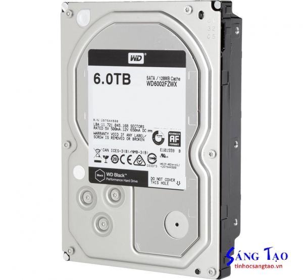 Ổ Cứng HDD WESTERB 6TB WD6002FZWX BLACK (7200rpm) 
